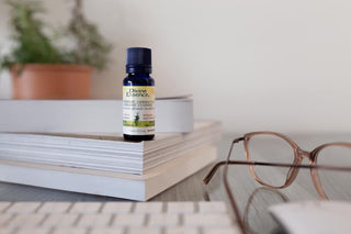 rosemary essential oil with glasses and books