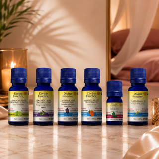 Lover's Synergy Blend bundle